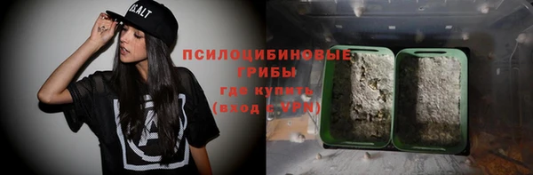 индика Алексеевка