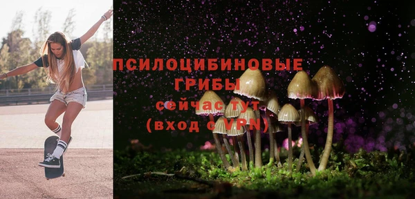 ешки Алзамай