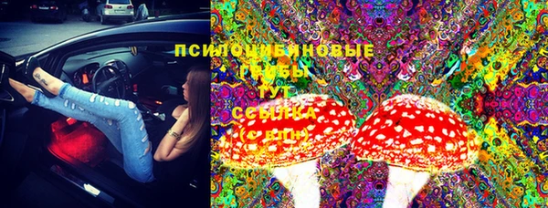 индика Алексеевка