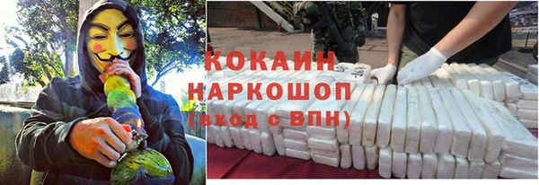 индика Алексеевка