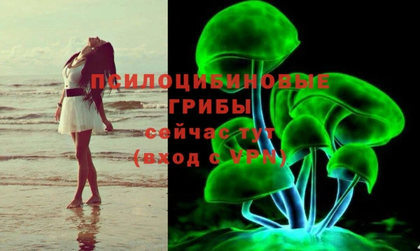 герыч Алексин