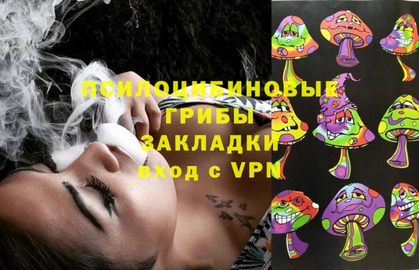 индика Алексеевка